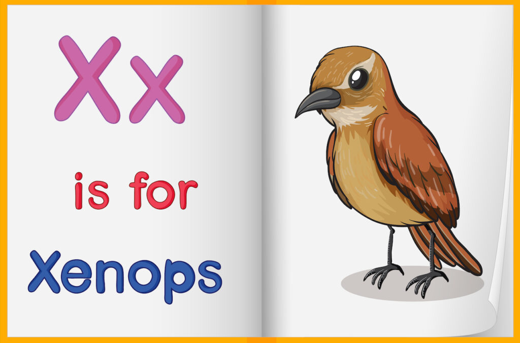 Children learning the sound of the English letter X through a fun and colourful video